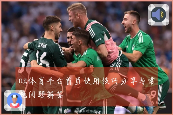 ng体育平台首页使用技巧分享与常见问题解答