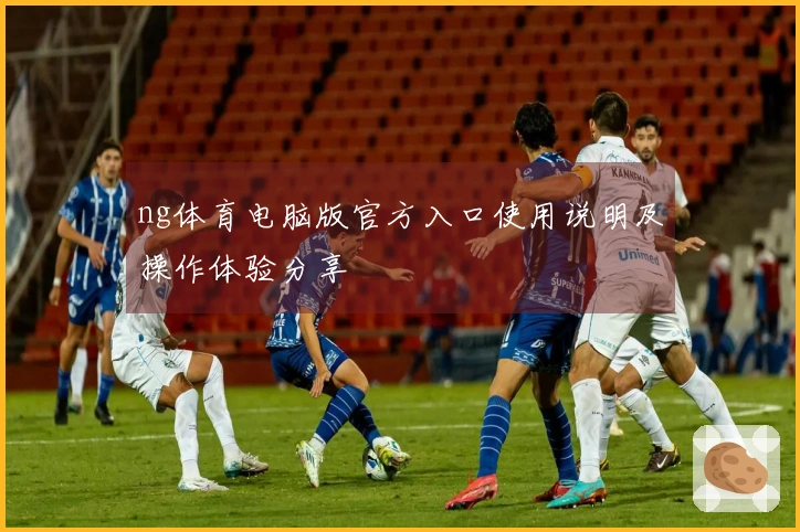 ng体育电脑版官方入口使用说明及操作体验分享