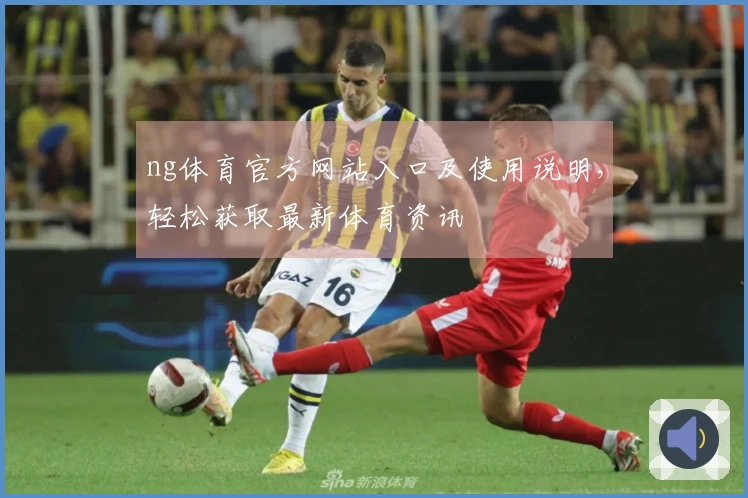 ng体育官方网站入口及使用说明，轻松获取最新体育资讯